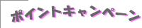 �t�@���I���@�|�C���g�L�����y�[��